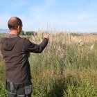 Marc Viñas, responsable de l'Oficina Tècnica del Delta de l'Ebre de SEO BirdLife, assenyalant exemplars d'herba de la pampa en una finca del Delta