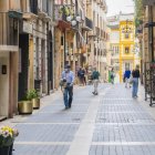 La novetat destacable d'enguany és la integració de tallers que s'ubiquen a fora de la Part Alta