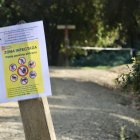 Un cartell informant d'una zona infectada a l'àmbit de Can Coll, a Cerdanyola del Vallès.