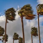 La alerta afecta a las comarcas del Baix Camp, Tarragonès, Baix Penedès y Alt Camp.