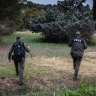 Agents Rurals pentinen el radi de 20 quilòmetres afectat per la pesta porcina africana