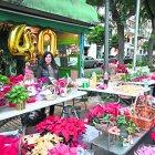 La Sefa aquesta mateixa setmana, al quiosc de la Rambla Nova.