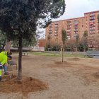 Dos membres de la brigada municipal replantant un arbre.