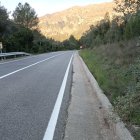 L’espècie més afectada enguany ha estat el gat