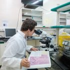 La URV aprova impulsar el grau en Farmàcia per al curs 27/28