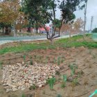 Imatge del SUDS de l'avinguda Riudoms.