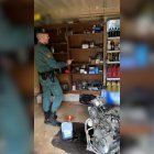 Imagen del taller ilegal.