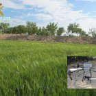 L'empresa tarragonina no disposava d'autorització per a aplicar fitosanitaris mitjançant drons.