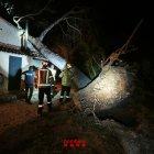 Imatge d'un arbre caigut a la teulada d'una masia a la TP-7225 entre Reus i el Morell.