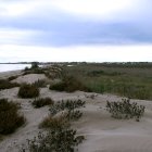 Imatge de la platja de la bassa de l'Arena, la guarda de protecció i l'espai que s'incorporarà al domini públic maritimoterrestre amb la nova delimitació de Costes.
