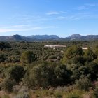 Terreny afectat a Riudecanyes per la central eòlica