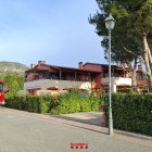 Els bombers han hagut d'assegurar un arbre a Mont-roig del Camp per risc de caiguda.