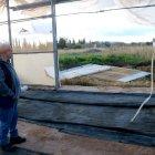 La ventada es va endur la porta lateral de l'hivernacle de Joan Motesó als Reguers.