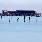 Muscleres de la badia del Fangar, al Delta de l'Ebre.