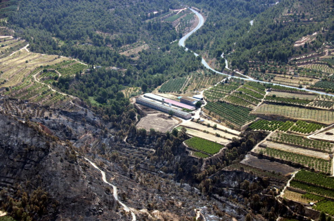Pla aeri de la granja del municipi de la Torre de l'Espanyol on s'hauria originat l'incendi per l'autocombustió de gallinassa.