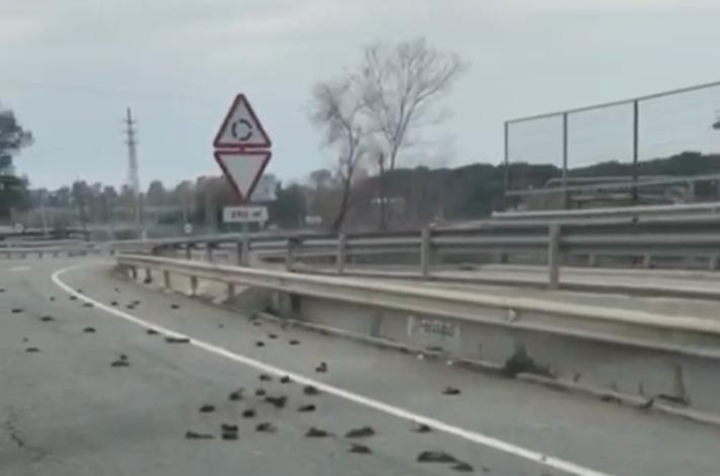 Imagen de los pájaros en la carretera en un vídeo gravado por un conductor.