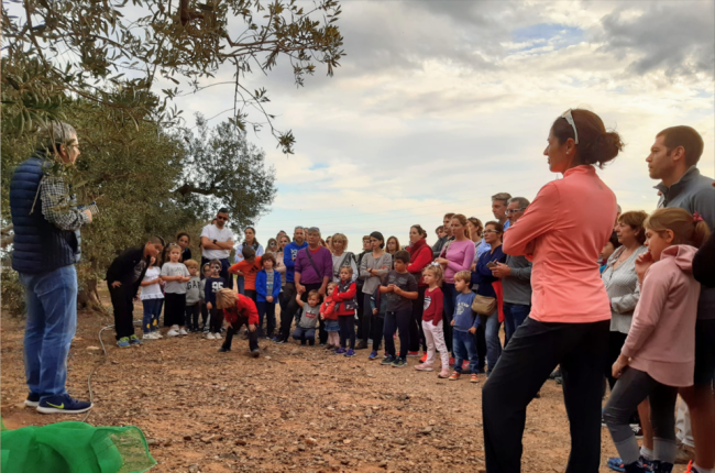 La proposta familiar Ruta per les oliveres inclou la visita al molí i un passeig pels camps d'oliveres.
