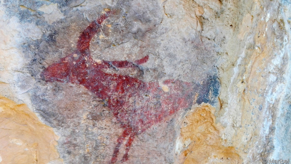 Descobrir pintures rupestres al costat de casa