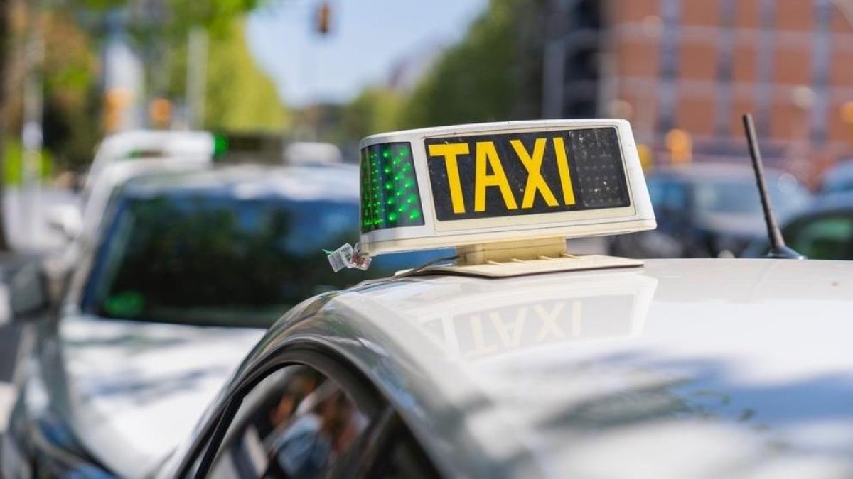 Diversos taxis estacionats a la parada de l’Hospital Joan XXIII de Tarragona.