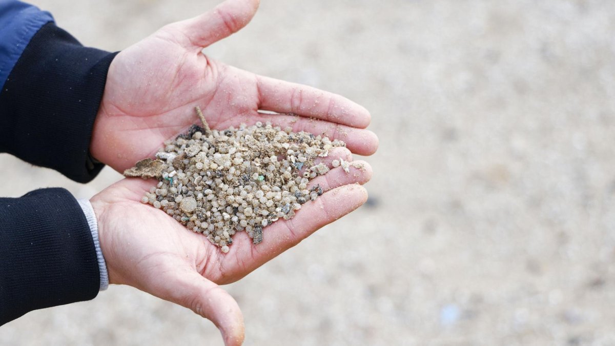 La arena de la playa de La Pineda con varios microplásticos en ella