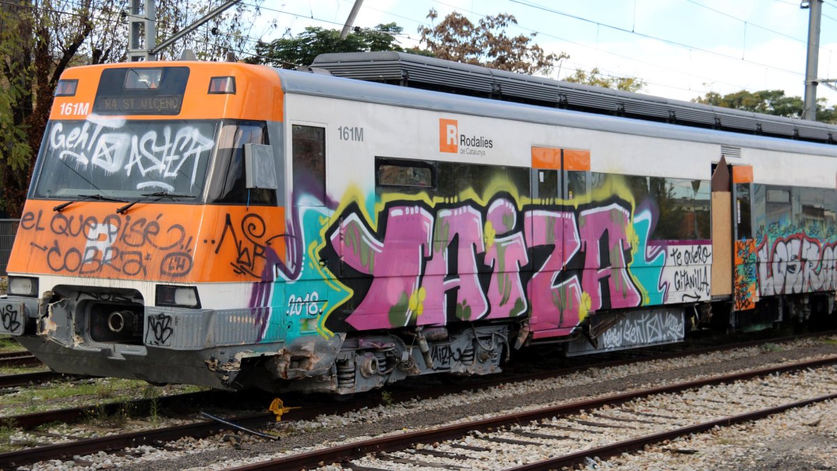Pla lateral de tot el vagó ple de pintades.