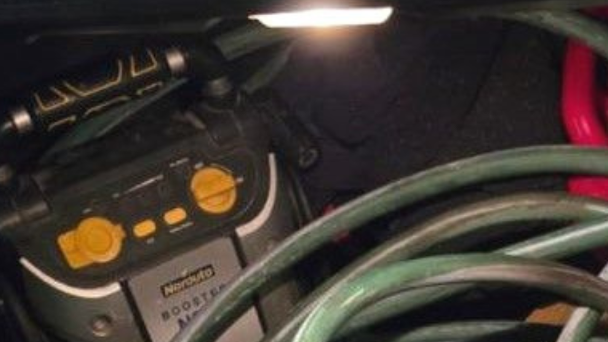 Imagen de los objetos intervenidos.