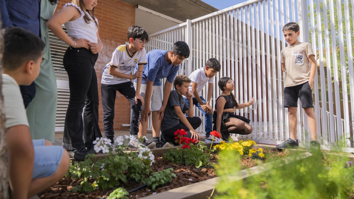 Els alumnes de l’Escola Rubió i Ors porten des del curs anterior treballant la temàtica dels espais verds en la ciutat de Reus.