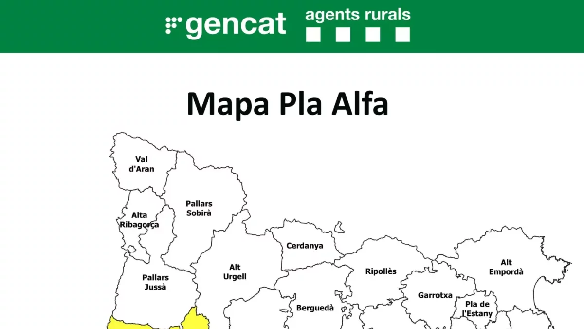 Mapa del Plan|Plano Alfa de este domingo