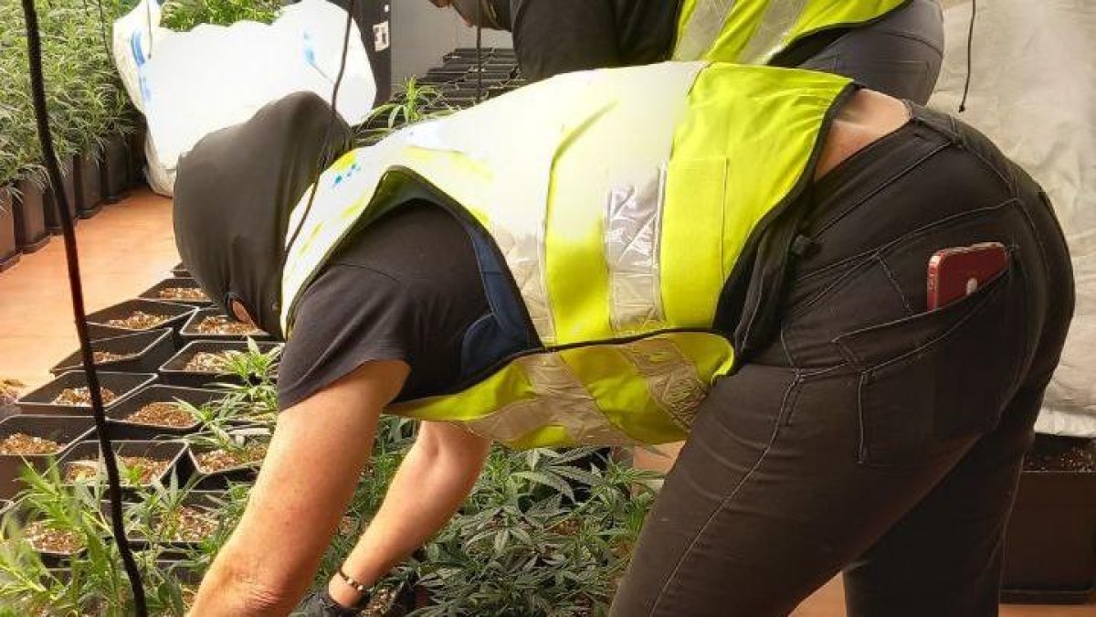 drogues a constantí