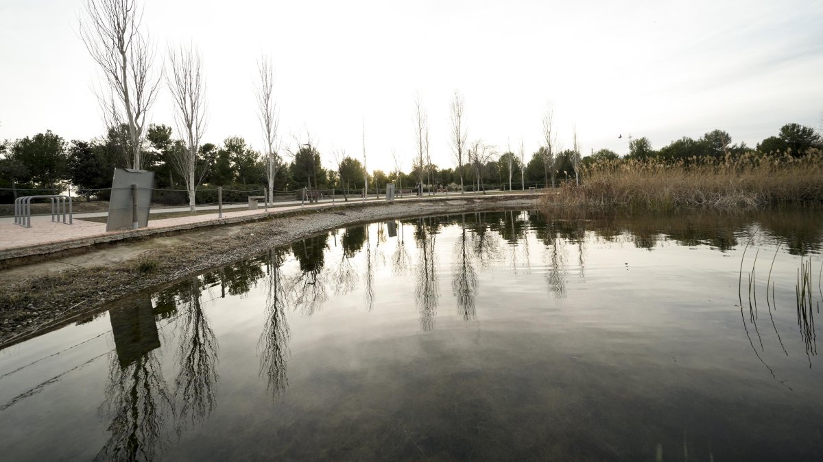 Entorno lago Anella Mediterrània.