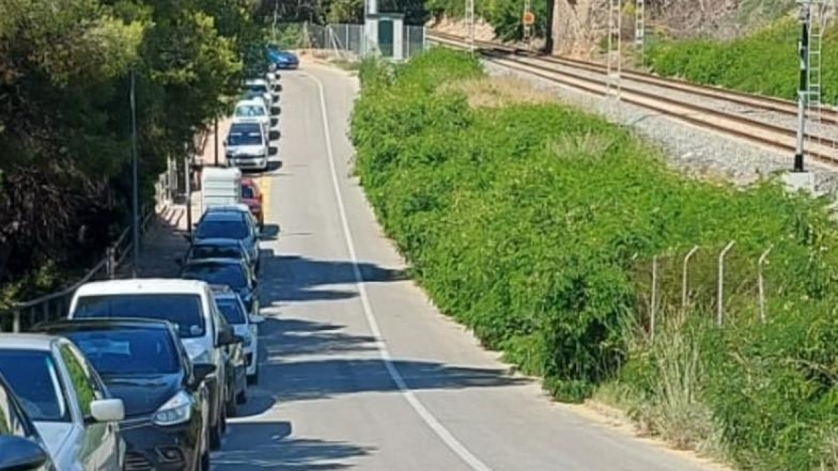 Imatge de la vegetació envaint part d'un carril de la calçada a la carretera de la platja Llarga, a l'altura de la platja dels Capellans.