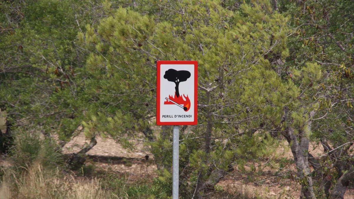 Pla detall del senyal de perill per incendi en una carretera