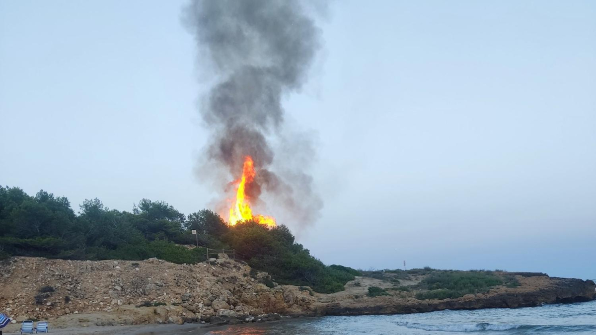 Imatge de l'incendi al bosc de la platja Savinosa