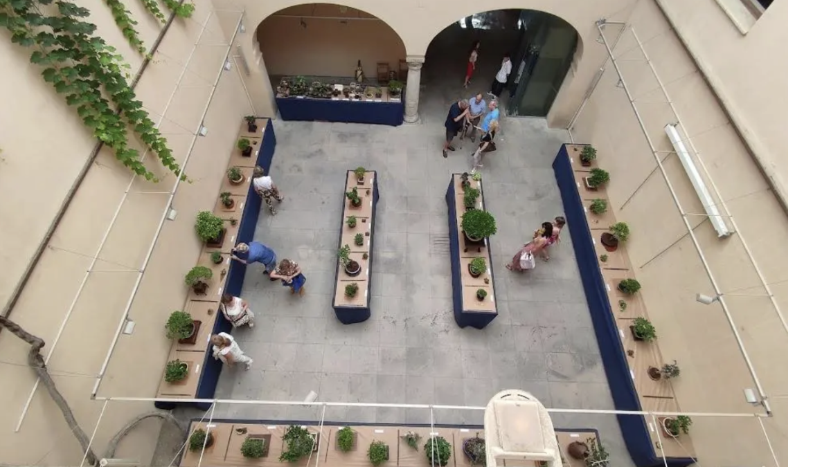 La exposición del año pasado.