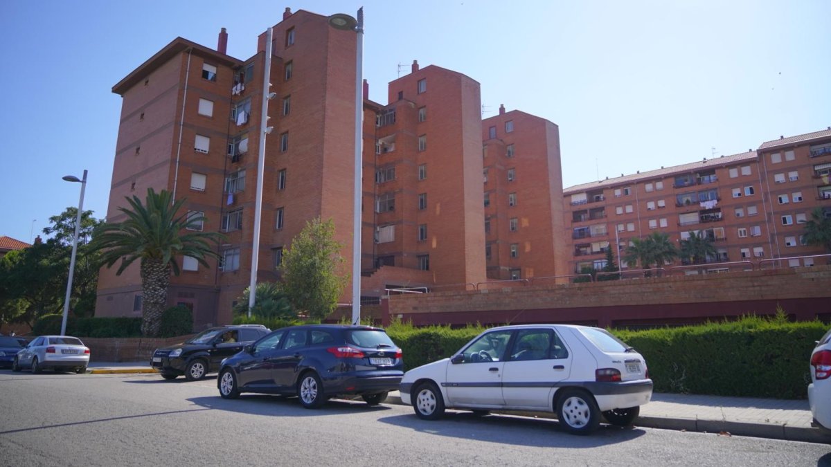 La plaga afecta a varios edificios de la calle Riu Brugent, donde hay bloques de la Agencia de la Vivienda.