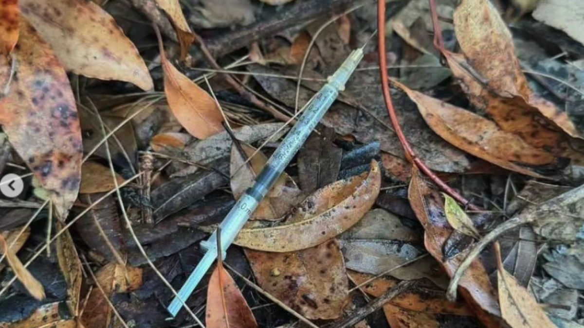 Imagen de una de las jeringas encontradas.