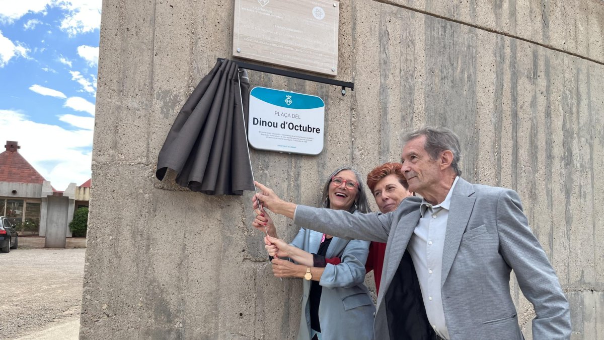 El momento del descubrimiento de la placa