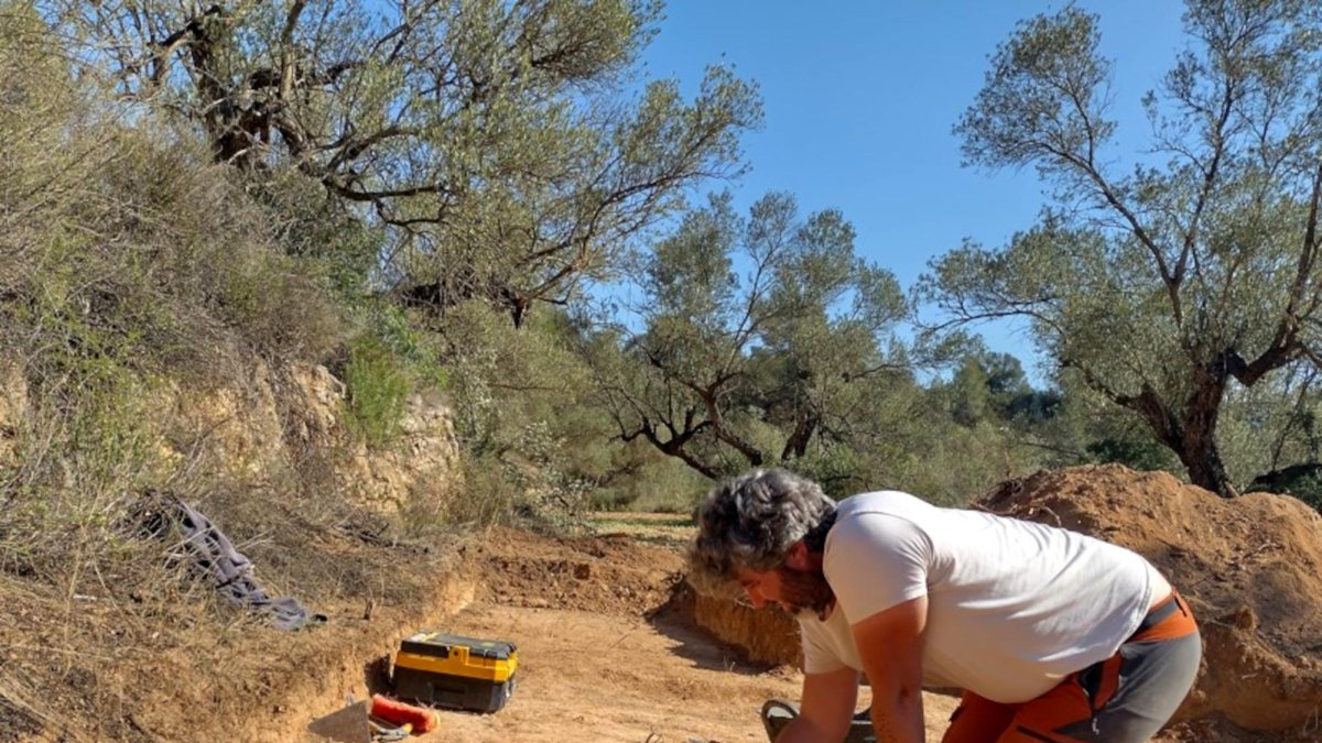 Un arqueòleg exhumant les restes de dos soldats republicans en una fossa d'Ascó.