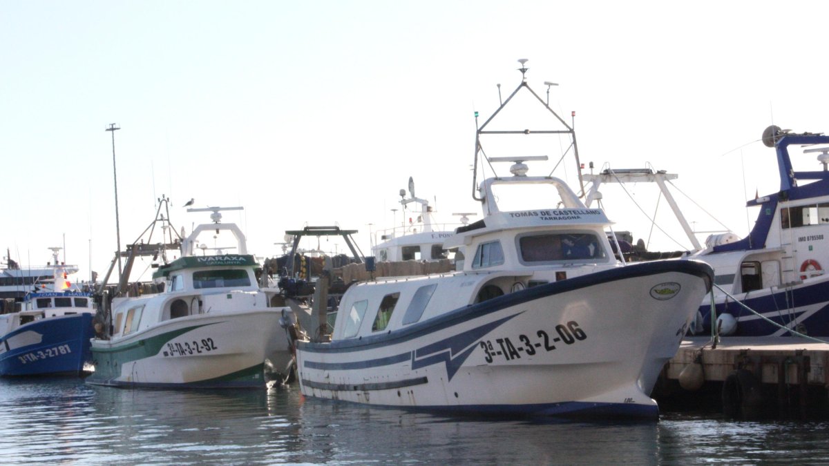 Barcas amarradas en el Muelle de Pescadores de Tarragona.