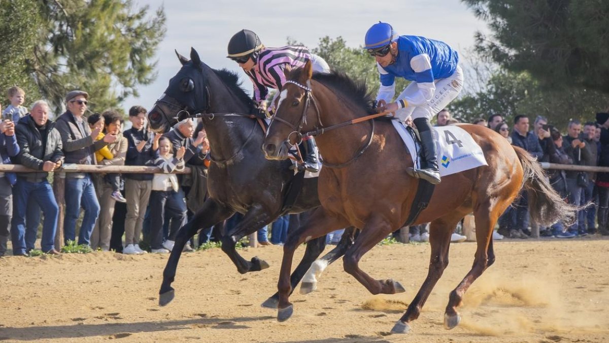 Imagen de archivo de una edición anterior del Cós de Sant Antoni de Vila-seca.