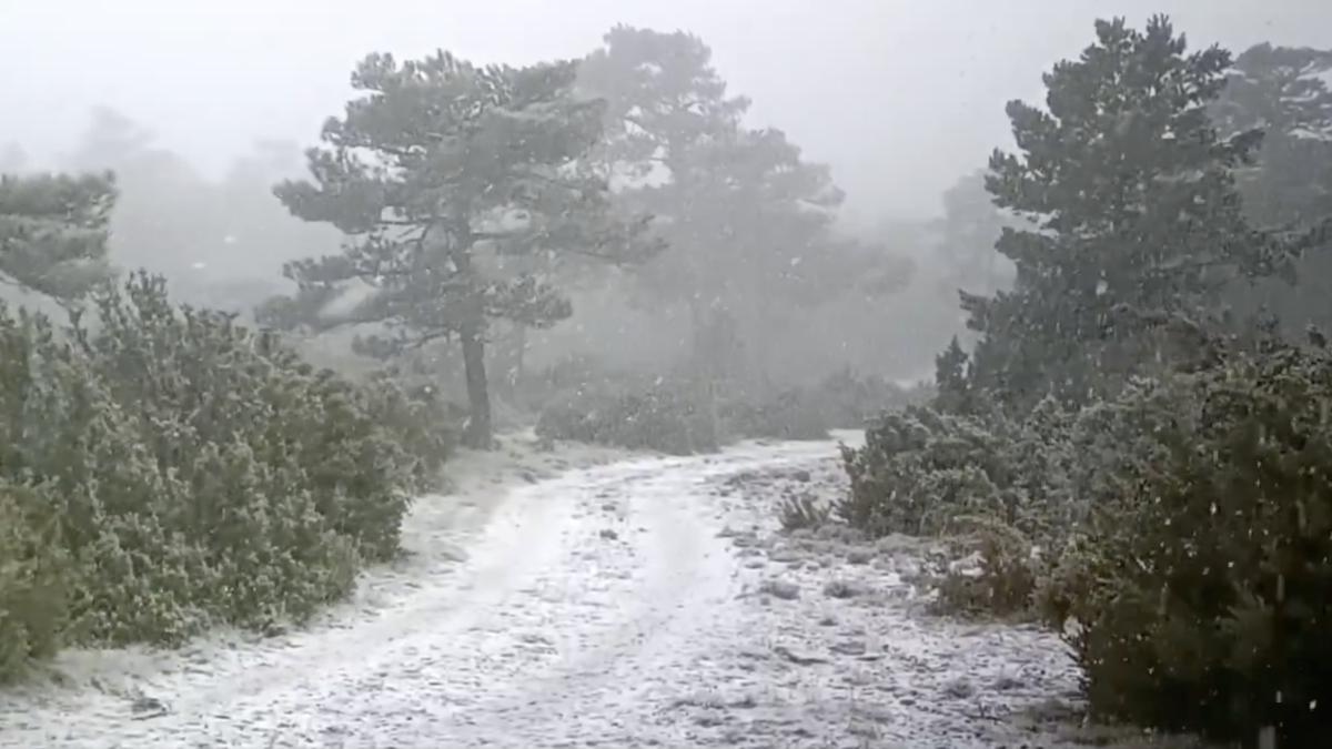 Imatge del paisatge nevat aquesta setmana als Ports