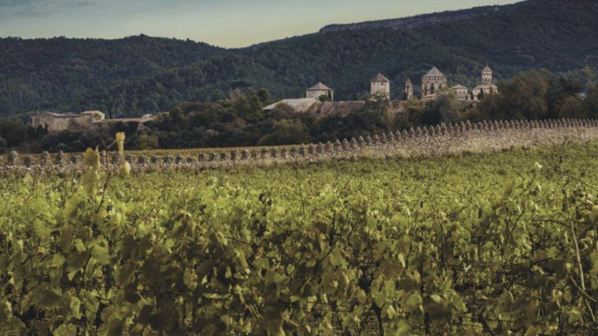 El Grans Muralles Colección Privada 2012 se elabora en la Conca de Barberà.