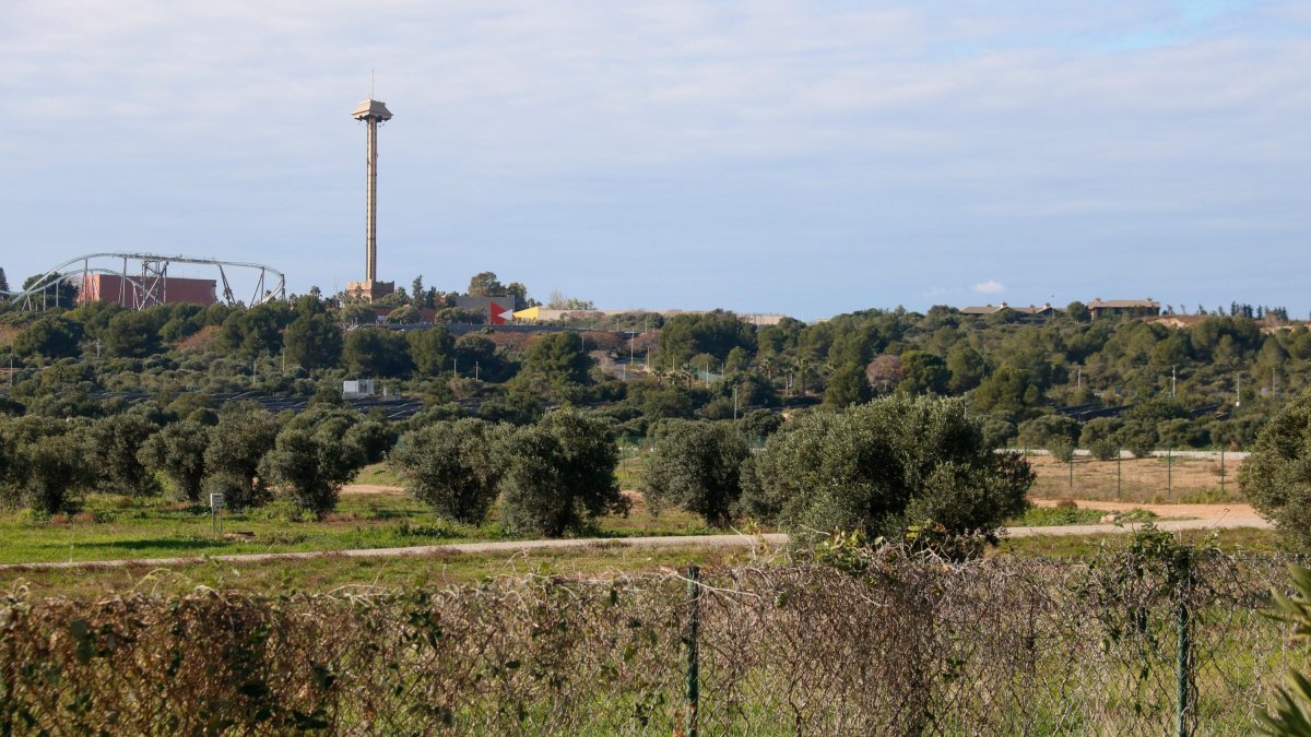Terrenos donde se tendría que construir el Hard Rock con PortAventura en el fondo.