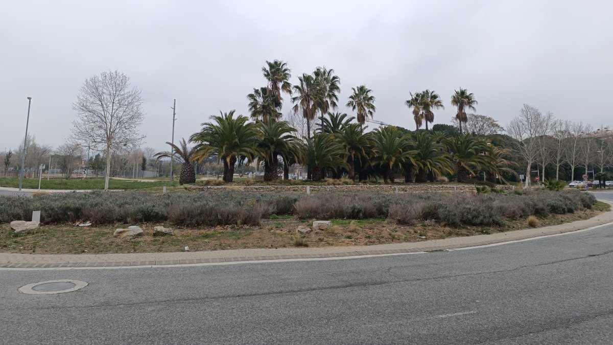 Imatge de la rotonda de l'avinguda Riudoms de Reus.