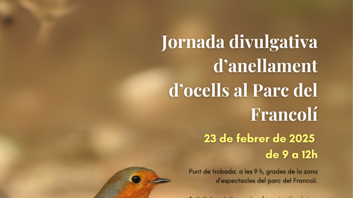 Cartell de l'activitat de l'anellament.