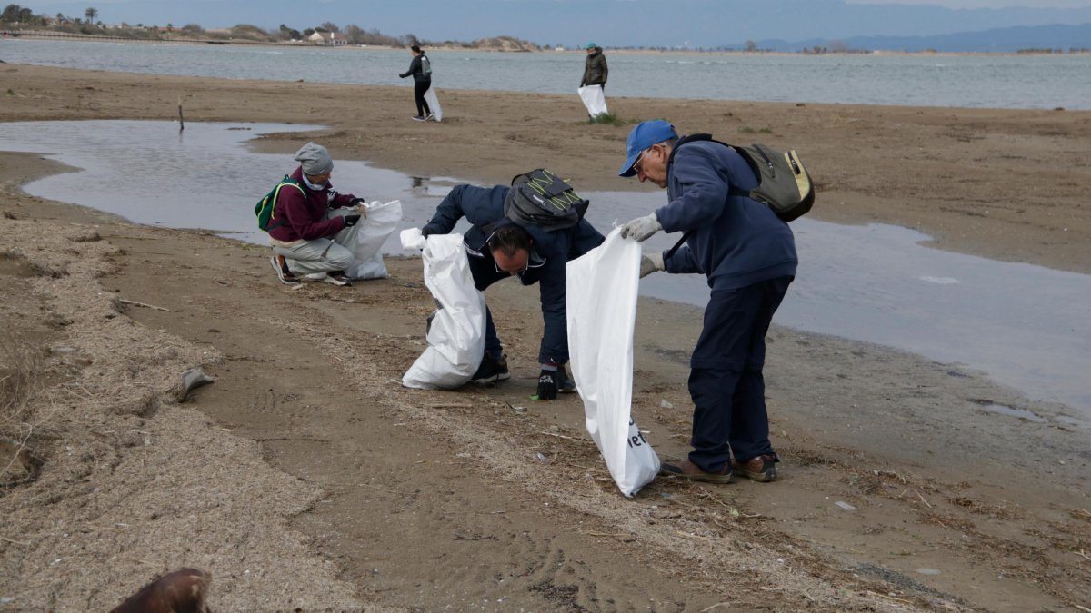 Diversos voluntaris de la jornada de neteja simultània al Parc Natural del delta de l'Ebre recullen deixalles al Garxal