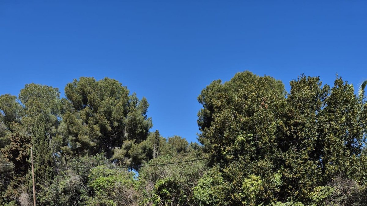 Marc Just, director general de Diari Més, conversa amb els alumnes del col·legi durant la seva visita.