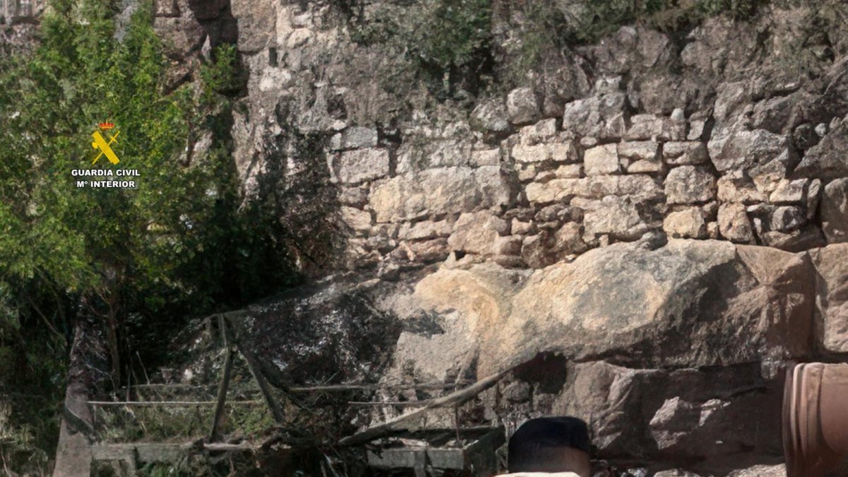 Imatge del gos trobat en males condicions a Batea.