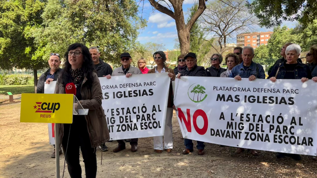 Mònica Pàmies durante la comparecencia.
