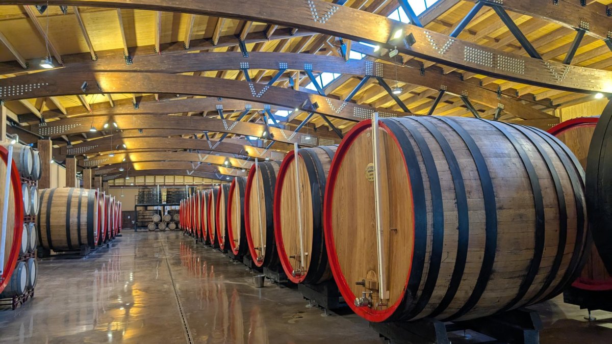 Imagen de la nueva «catedral del vino» de Yzaguirre.